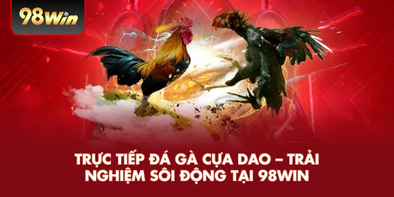Trực Tiếp Đá Gà Cựa Dao – Trải Nghiệm Sôi Động Tại 98WIN